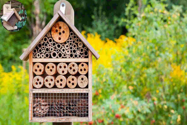 where to put a bee house uk