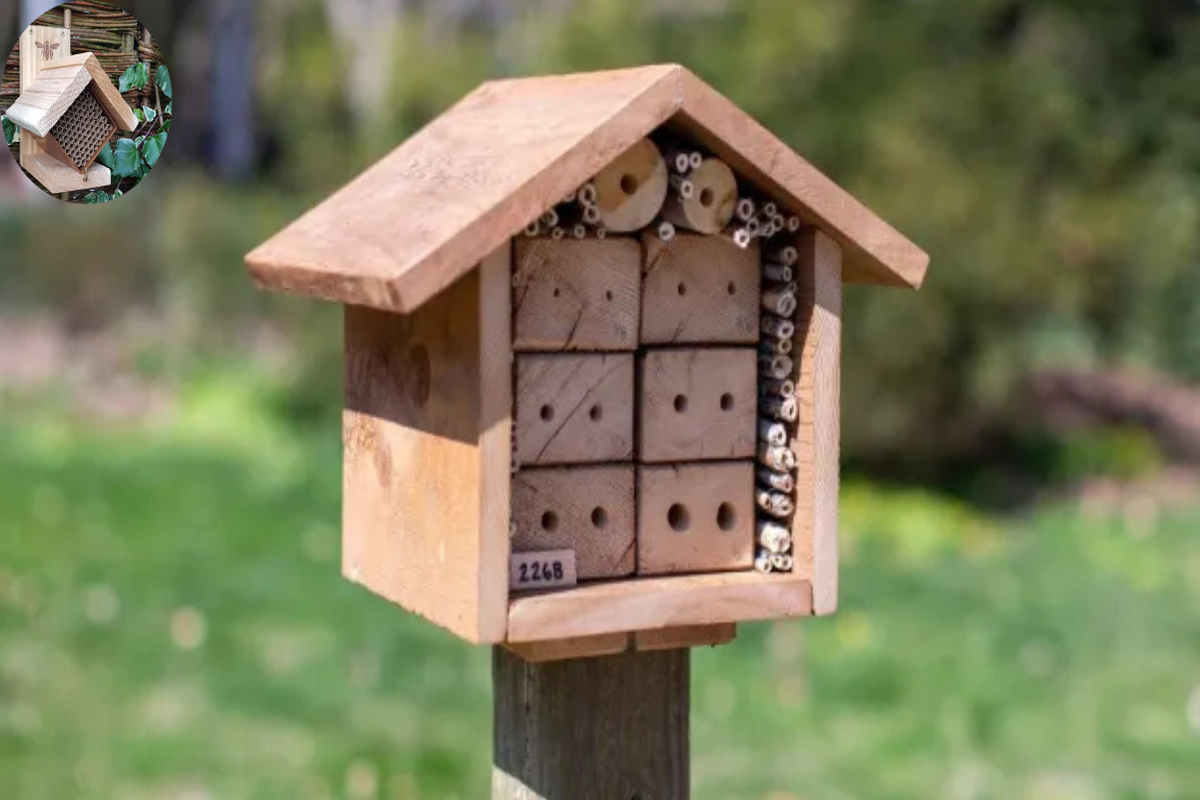 where to put a bee house uk