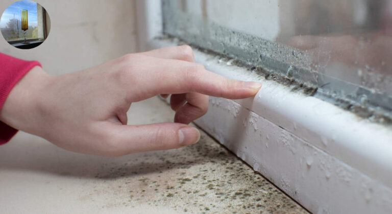how to reduce humidity in house in winter uk
