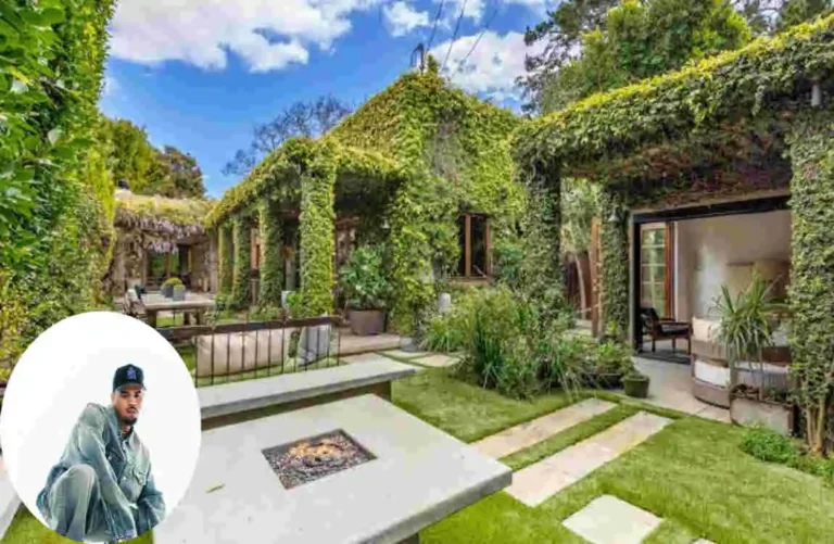 Chris Brown House in Tarzana
