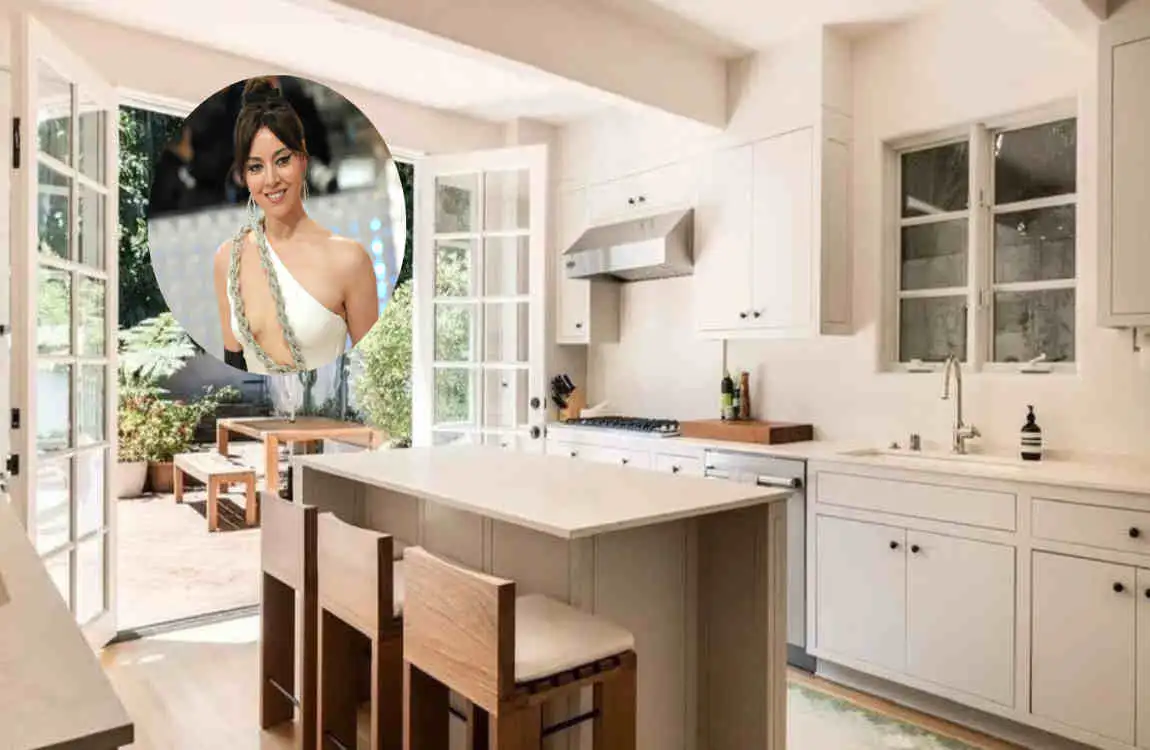 Aubrey Plaza’s House